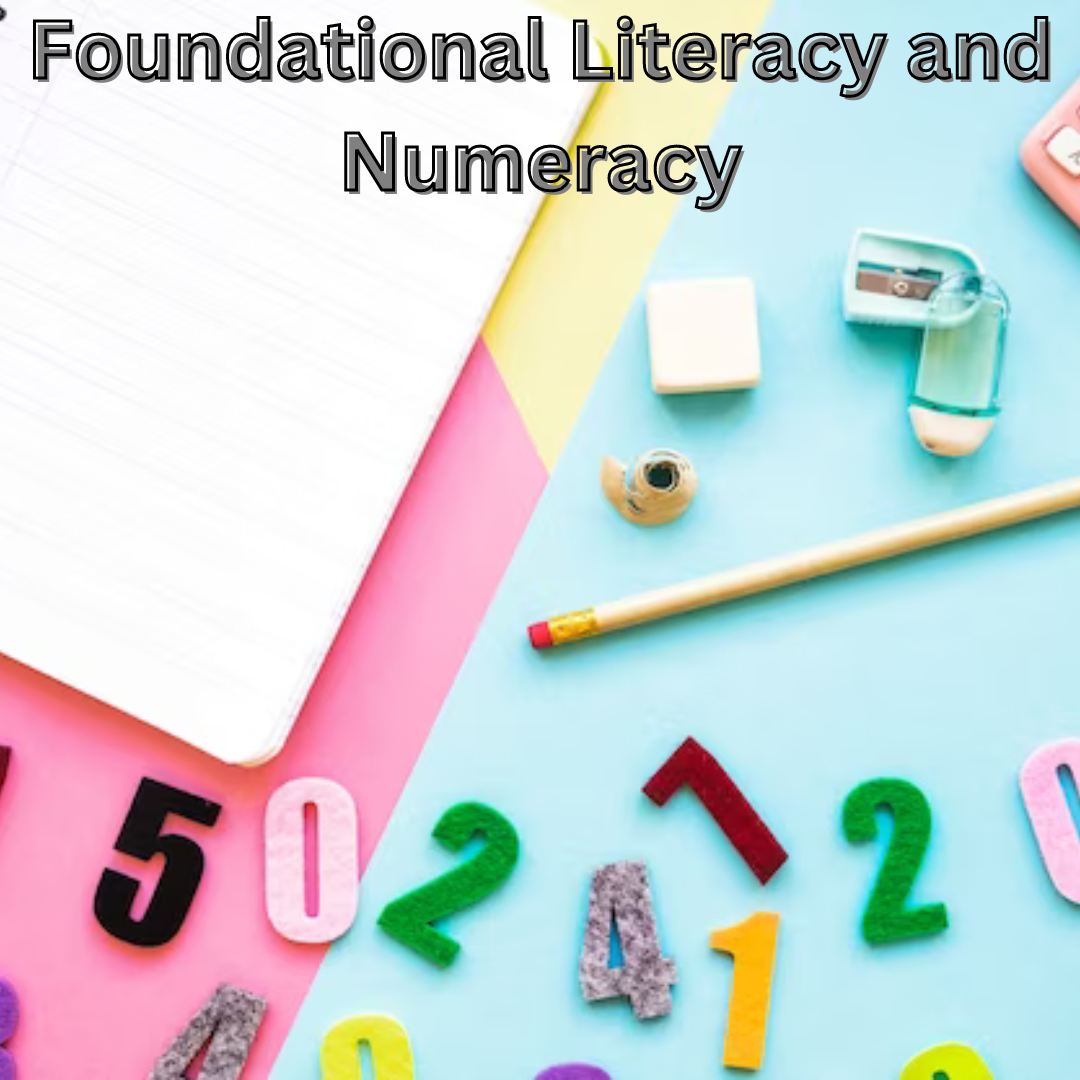 Foundational Literacy and Numeracy